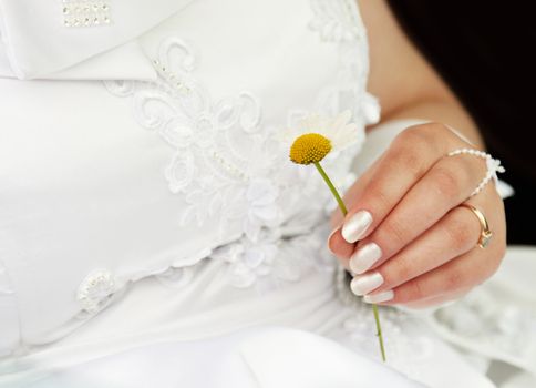 A woman in a white dress wonders with chamomile