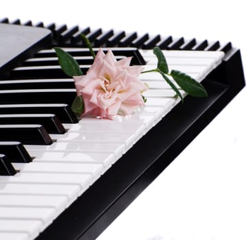 A rose resting on an electronic piano, isolated against a white background