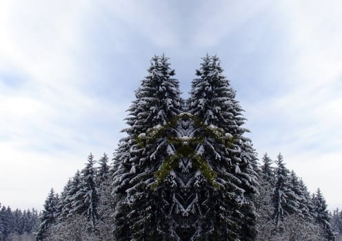 winter snow covered fir trees on mountainside on blue sky background