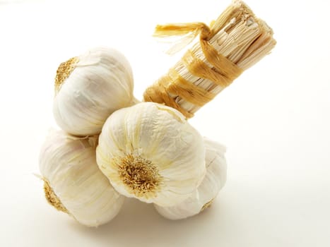 Fresh garlic spice isolated on white background