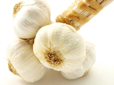 Fresh garlic spice isolated on white background