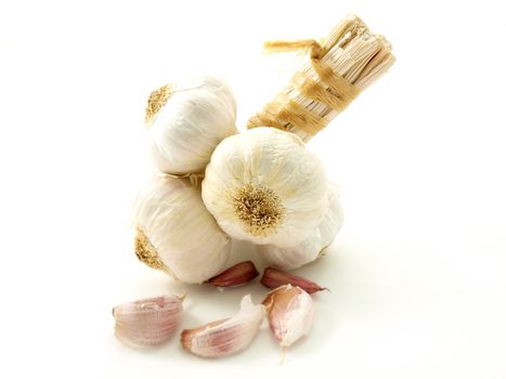 Fresh garlic spice isolated on white background
