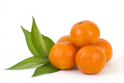 fresh tangerines