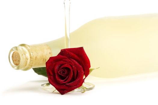wet red rose with a empty champagne glass in front of a dull prosecco bottle on white background