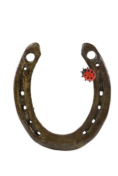 Shot of Horseshoe and ladybeetle conceptual for luck and new year's eve