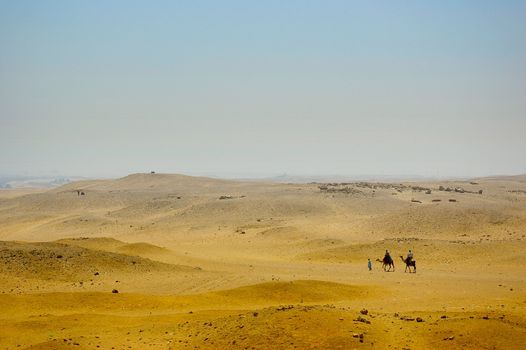 The Egyptian desert