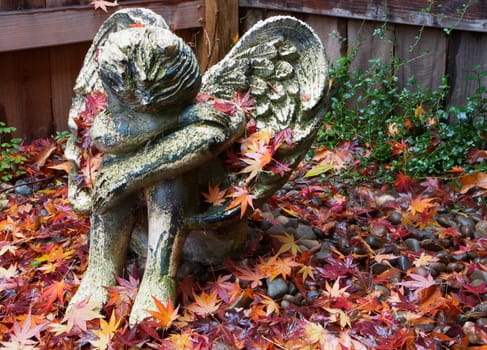 Weather worn ceramic cherub angel on fall leaves with redwood fence background