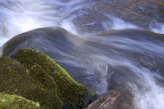 A forrest stream where the water is running wild