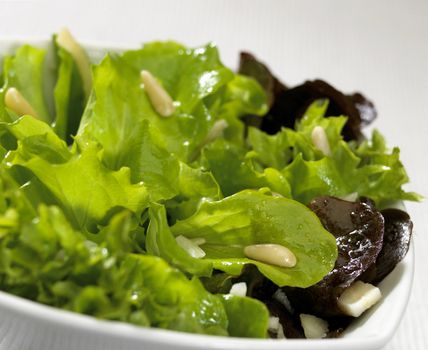 salad plate with nuts isolated on white