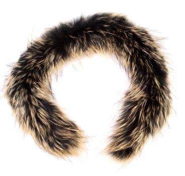 A fur isolated on the white background