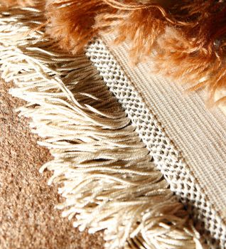 Macro shot of oriental rug. Handmade. Iranian