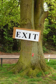 exit sign nailed to a large oak tree