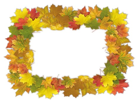 Colorful autumn framework made from maple leaves, isolated on white background