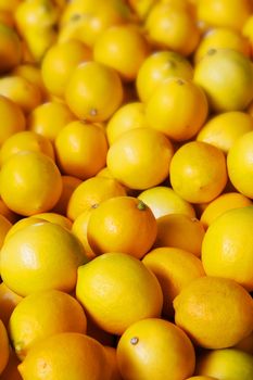 Pile of bright yellow meyers lemons at the farmers market