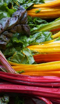 Pile of brigh red, yellow, orange, and green colors of rainbow chard at the farmers market