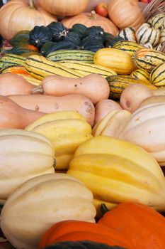 Collection of multi-colored and multi-shaped variation of squash at a farmers market