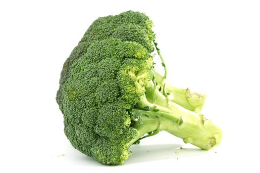 broccoli isolated on white background