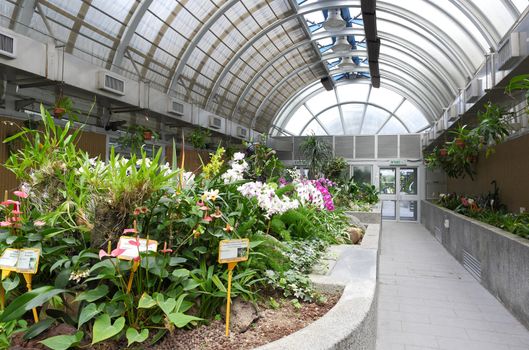 greenhouse