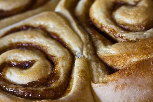 close up of cinnamon rolls or sticky buns hot out of the oven