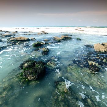 Reef stones an ocean water