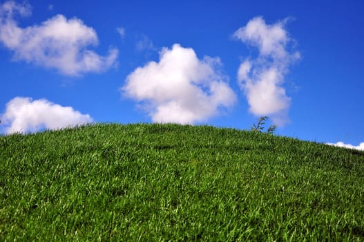 Horizon in clouds landscape on green meadows