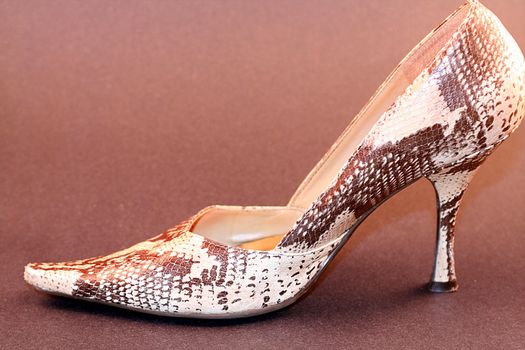 Women's high heel shoe with eel skin design. Attractive footwear for shopping, fashion and beauty. High heel ladies dress shoe.