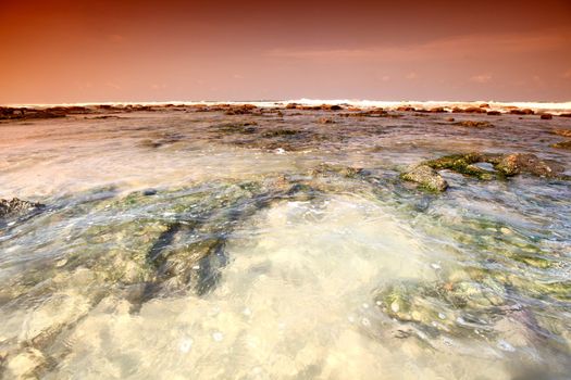 Reef stones an ocean water