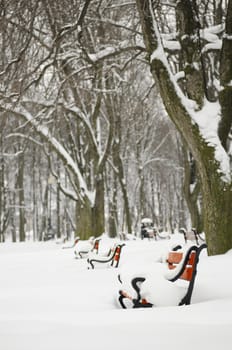 Park in winter with red benches covered with snow after a blizzard