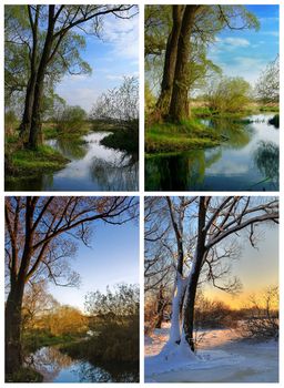 A tree by the river at four different seasons - spring summer autumn and winter