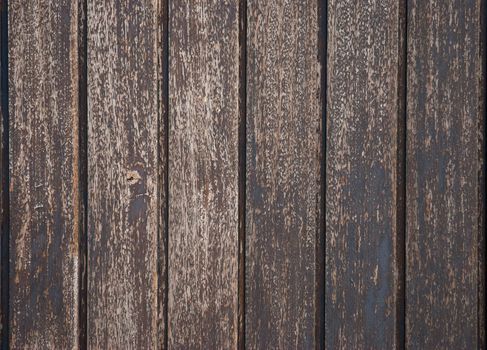 Wood old wall background shot on natural light.