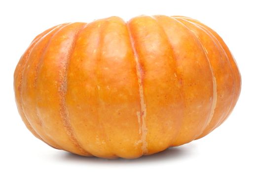 Single fresh pumpkin isolated on white background.