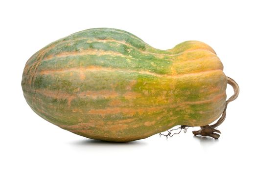 Calabash pumpkin isolated on the white background