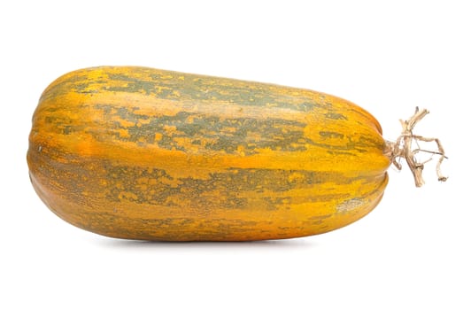Single fresh pumpkin isolated on white background.