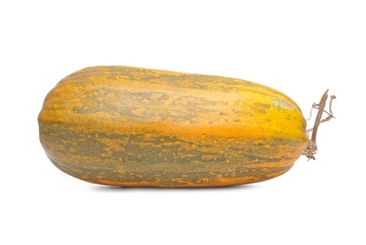 Single fresh pumpkin isolated on white background.