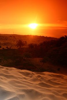 desert sand under blue sunny sky