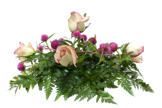 Bouquet of roses on white background.