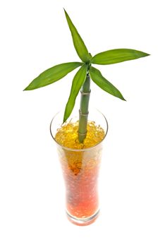 Glass jar with bamboo isolated on white background.