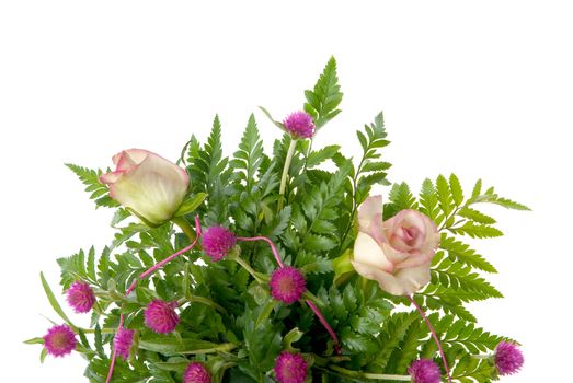 Detail of bouquet of roses on white background.