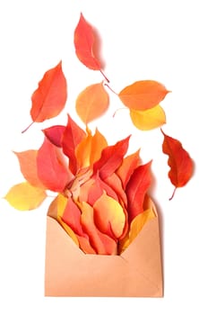 autumn letter - an envelope and autumn leaf on white