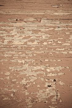 Part of a old woodboard texture painted on brown.