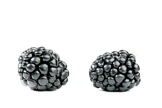 blackberry  isolated on white background
