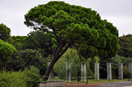 Portugal park lake fountain and sculpture wood nature landscape