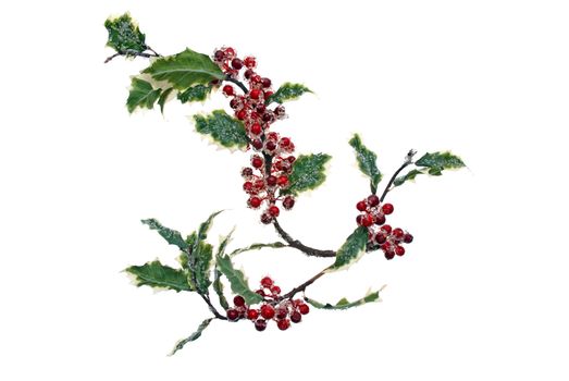Christmas arrangement isolated on white background.