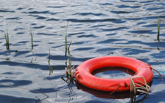 survival metaphor - buoyancy aid floating in water