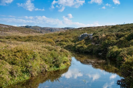 Summer landscape with river and blue sky.