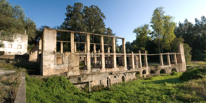 Old building in ruins with trees and vegetation arround.