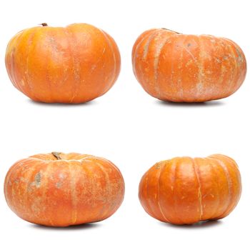 Four fresh pumpkins isolated on white background.