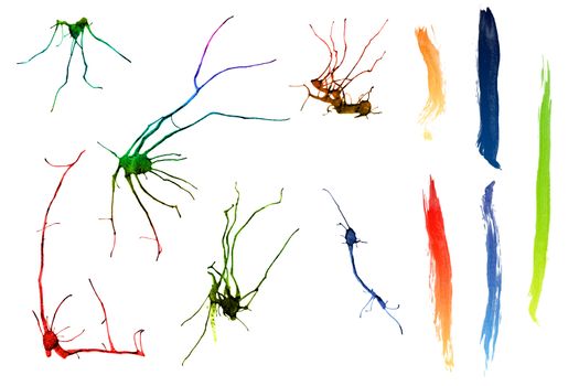 Abstract ink strokes ans splatters isolated on white background.