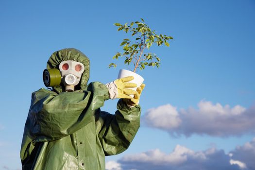 The person in protective clothes holds last ficus on sky background