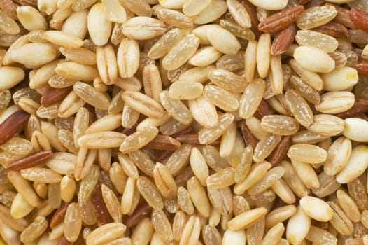 Macro shot of wholegrain rice, red rice, pearl barley and oats